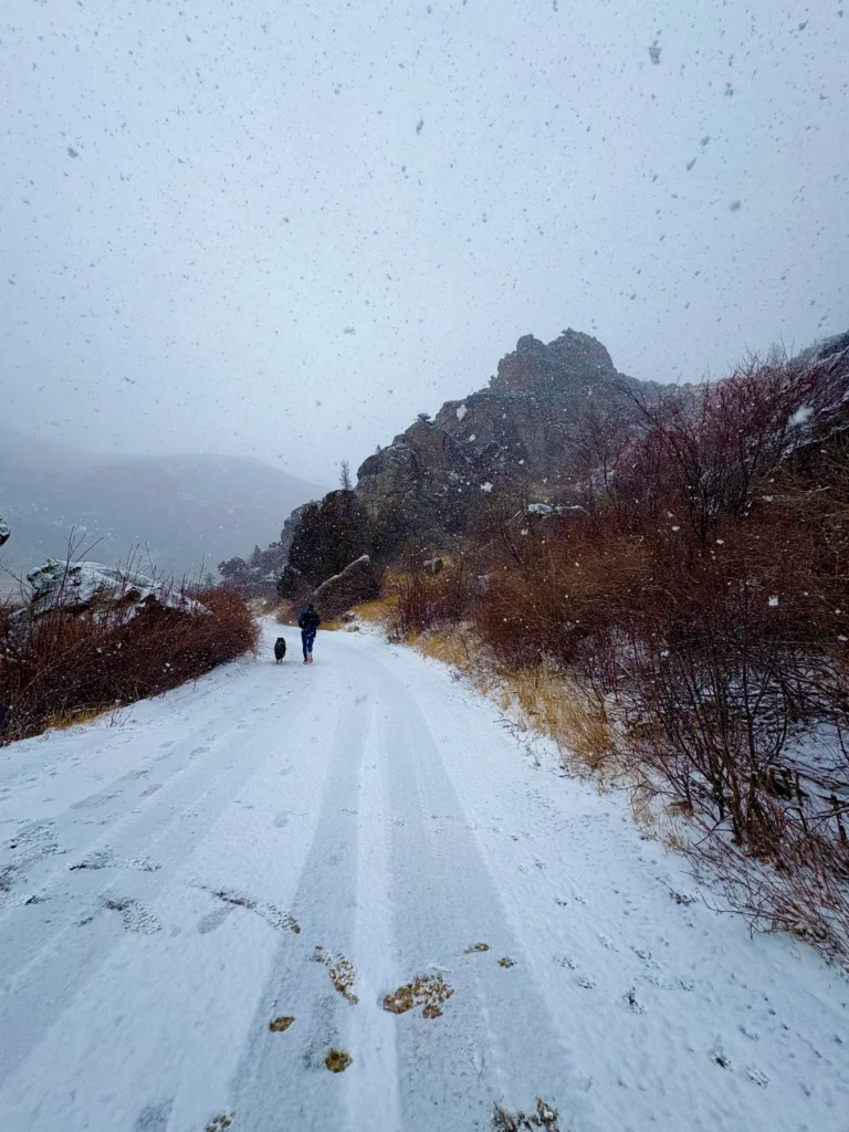 Winter Slip & Fall Prevention: Stay Steady This Season